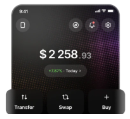 Ledger Wallet